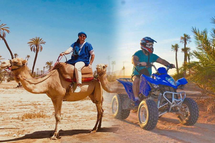 Giro in cammello e quad in Marrakech Palmeraie
