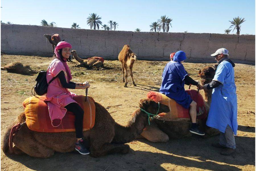 Giro in cammello e quad in Marrakech Palmeraie