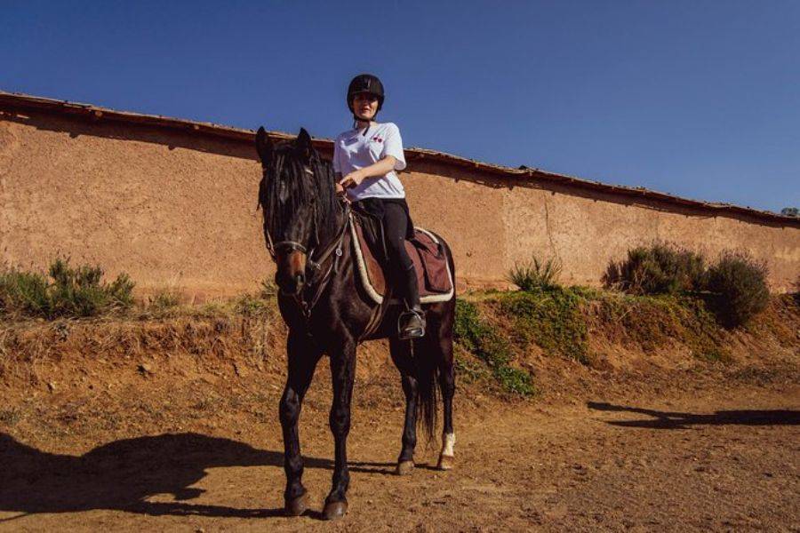 Giro a cavallo a Marrakech Palmeraie