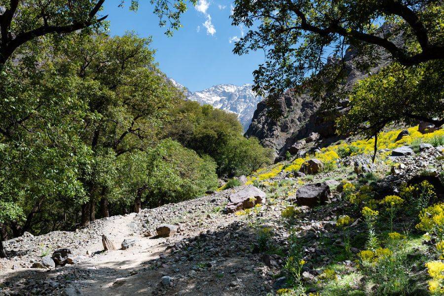 Excursão a Asni e Imlil com um delicioso almoço no Kasbah Toubkal