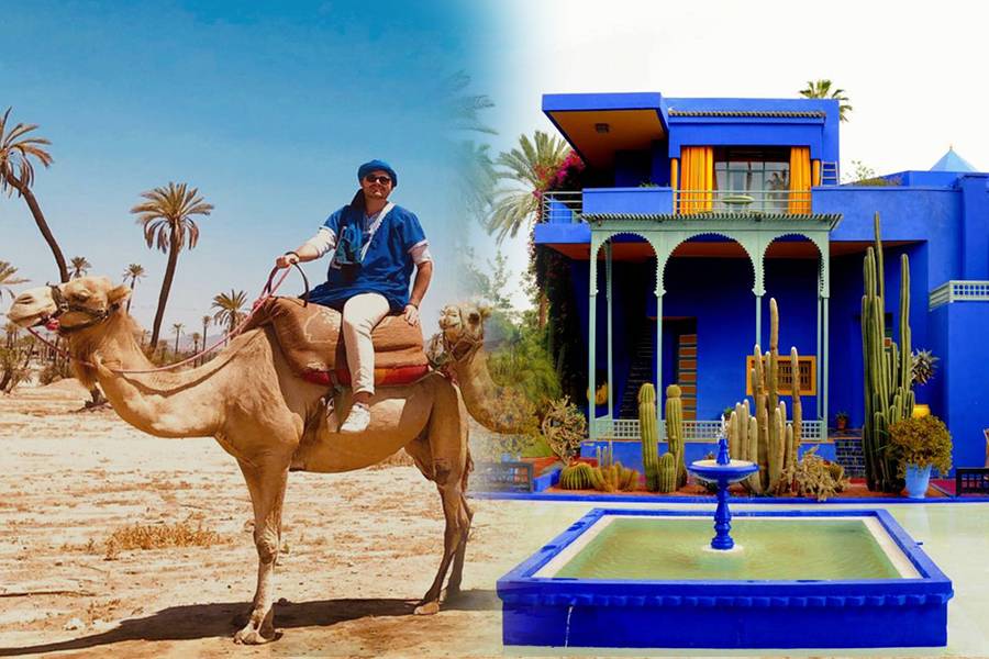 Giardino Majorelle con un giro in cammello tra le palme