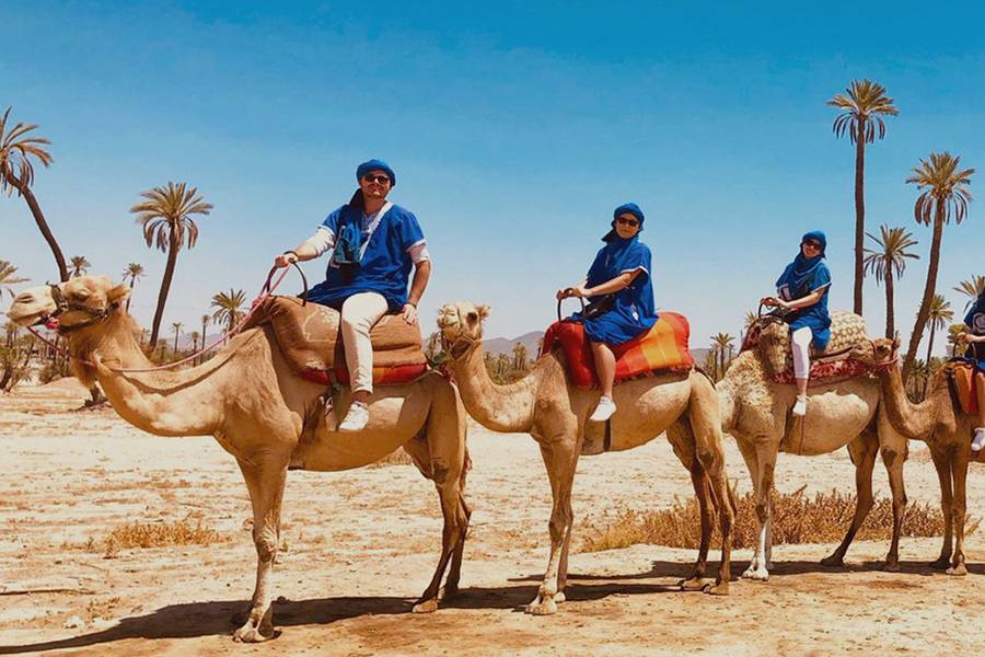 Giro in cammello nella Palmeraie di Marrakech