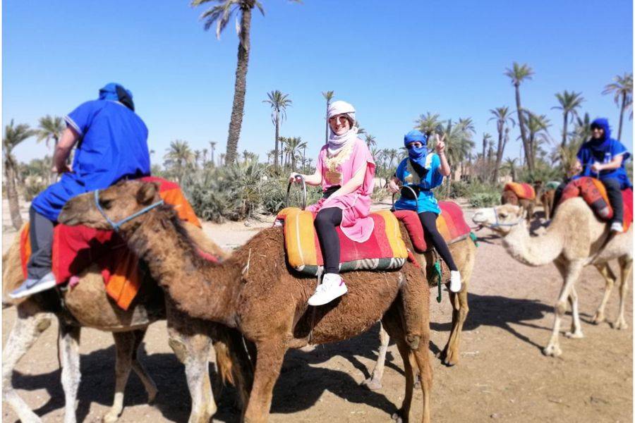 Giro in cammello e quad in Marrakech Palmeraie