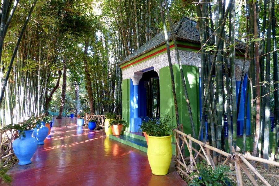 Giardino Majorelle con un giro in cammello tra le palme