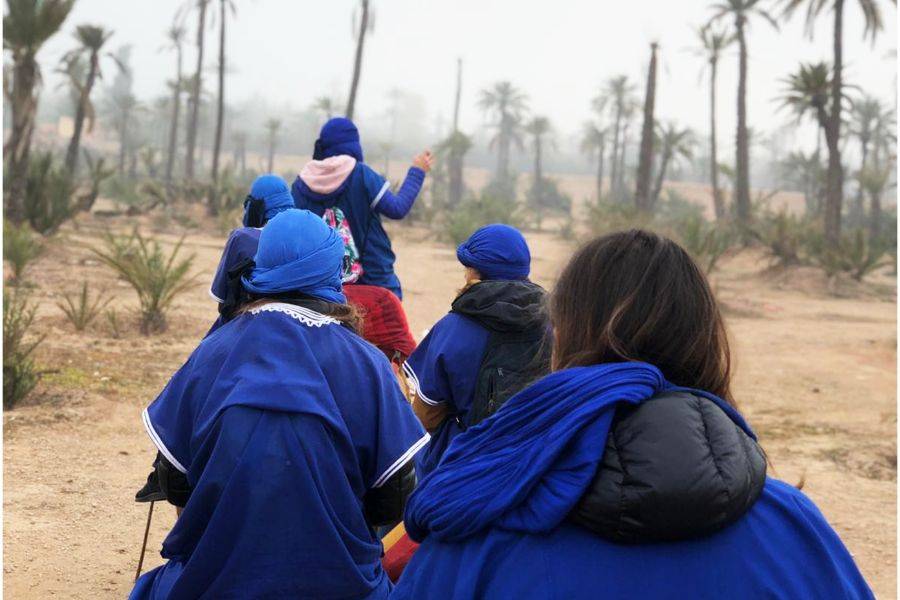 Giro in cammello e quad in Marrakech Palmeraie