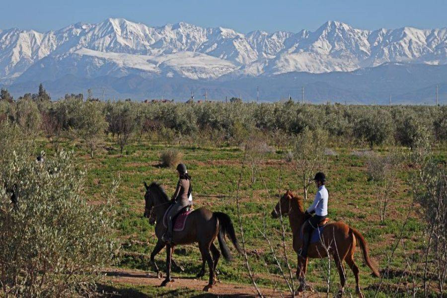 Giro a cavallo a Marrakech Palmeraie