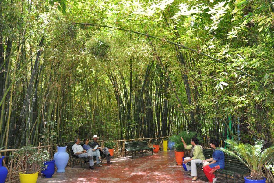 Giardino Majorelle con un giro in cammello tra le palme