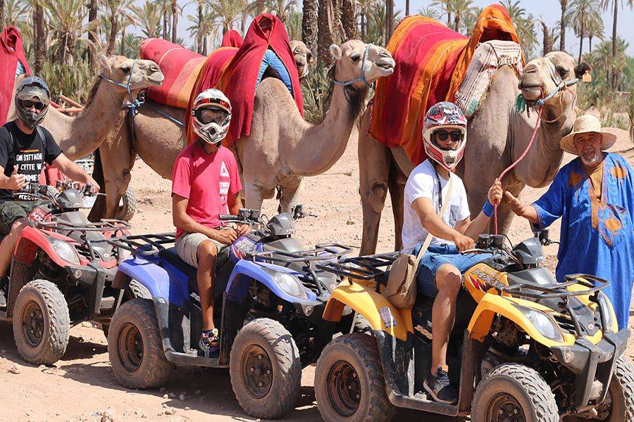 Giro in cammello e quad in Marrakech Palmeraie