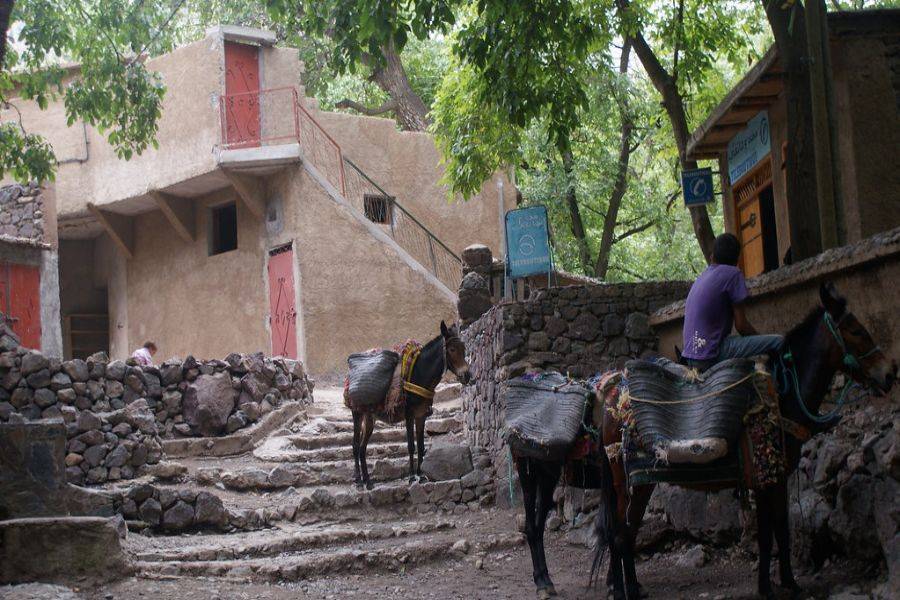 Imlil sull'Alto Atlante con il Camel Riding & Diner nel deserto di Agafay