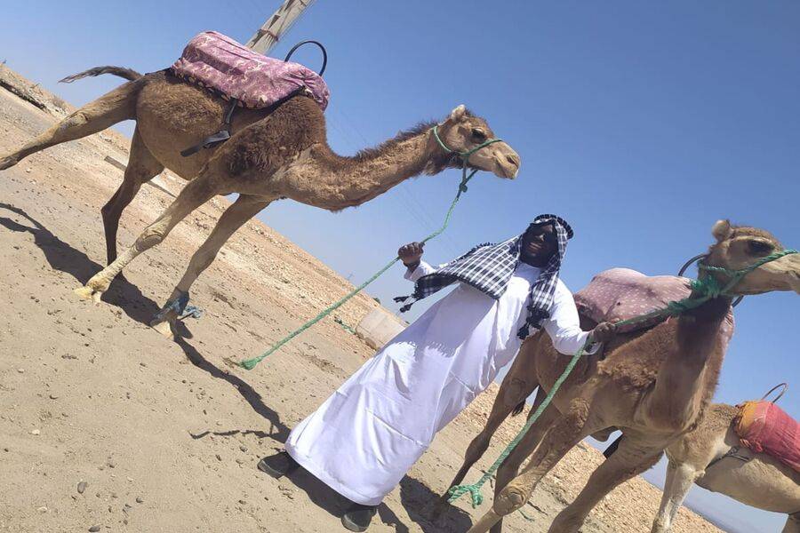 Quad Bike, Camel Ride e cena nel deserto roccioso di Agafay