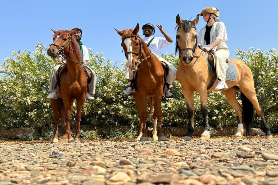 Giro a cavallo a Marrakech Palmeraie