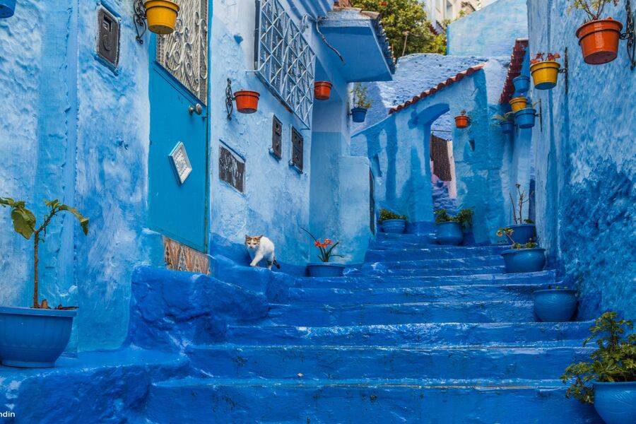 Viaggio 7 GIORNI da Tangeri e città imperiali a Marrakech