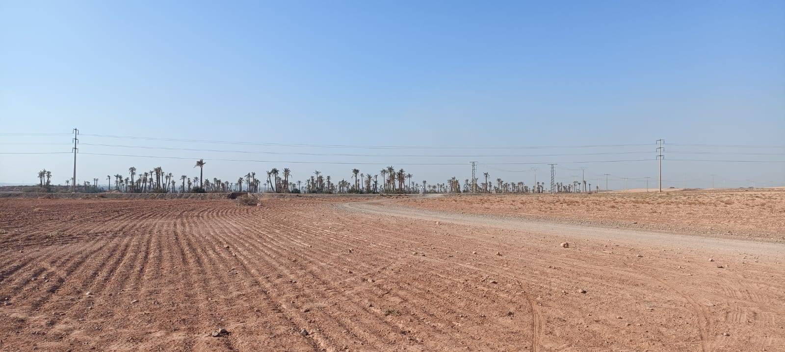 Tour in bicicletta a Palmeraie Marrakech mezza giornata