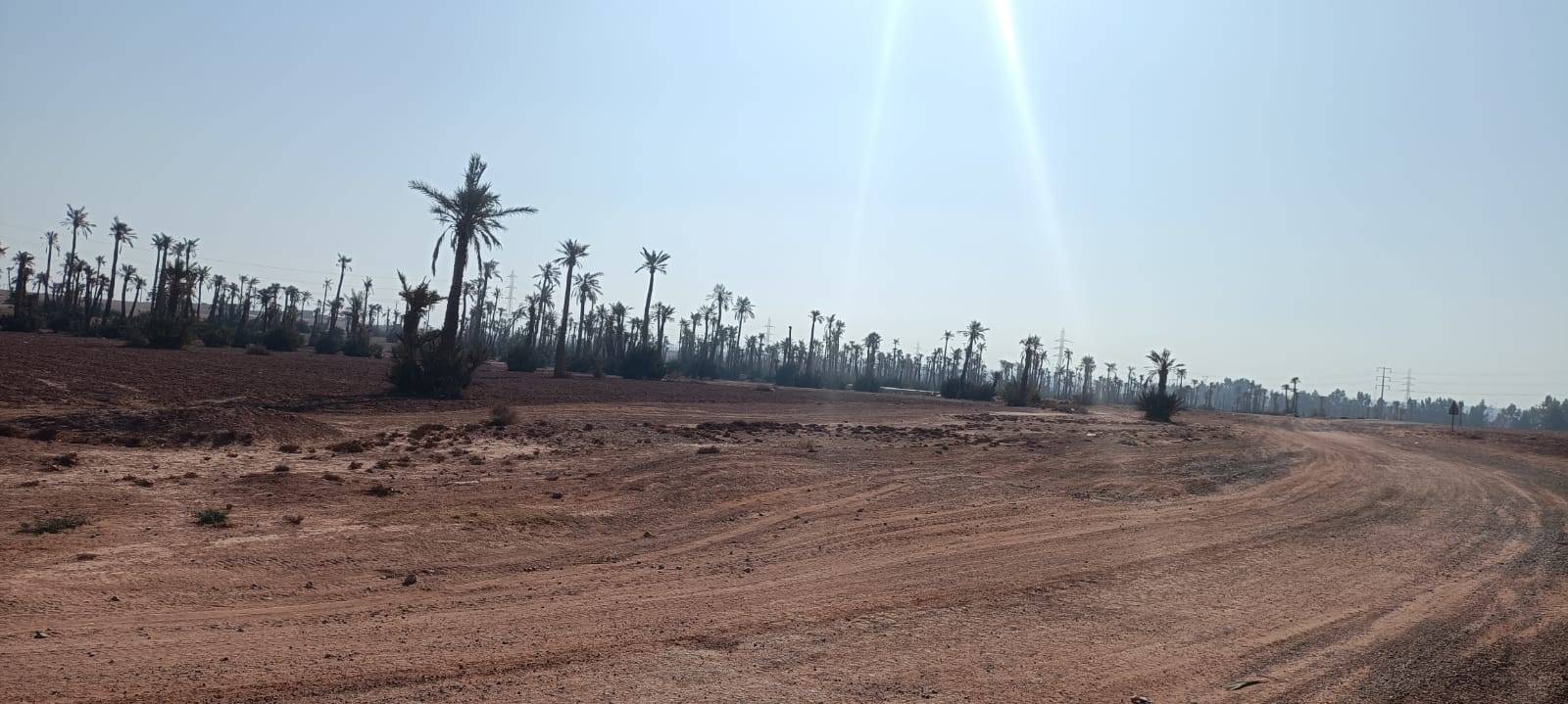 Tour in bicicletta a Palmeraie Marrakech mezza giornata