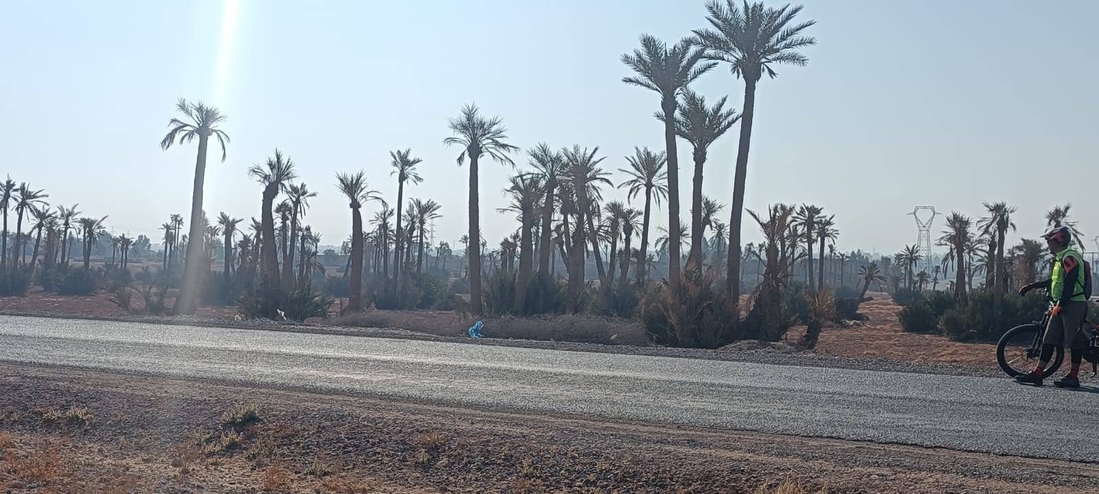 Tour in bicicletta a Palmeraie Marrakech mezza giornata