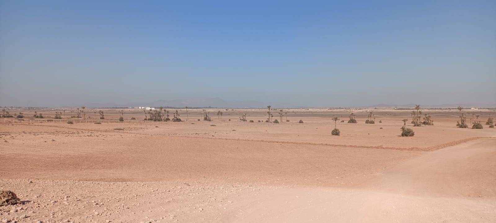 Tour in bicicletta a Palmeraie Marrakech mezza giornata