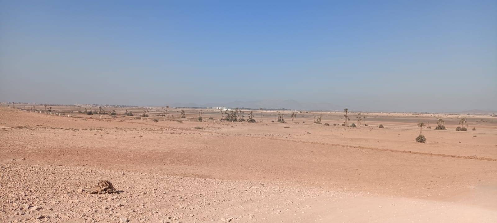 Tour in bicicletta a Palmeraie Marrakech mezza giornata