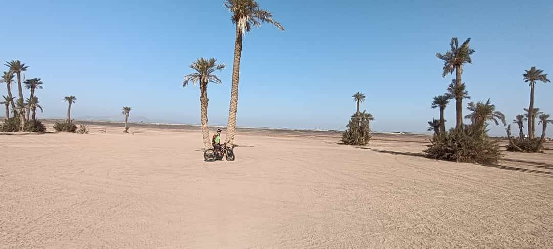 Tour in bicicletta a Palmeraie Marrakech mezza giornata