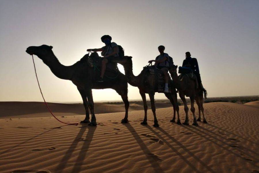 Fez: tour del deserto di 4 giorni a Marrakech