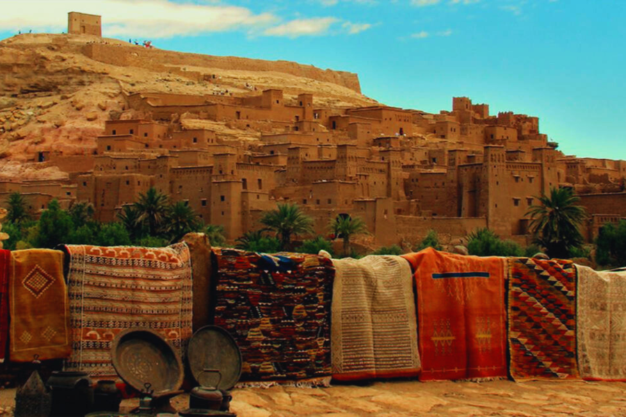 Escursione di un giorno da Ouarzazate e Kasbah Ait Ben Haddou 