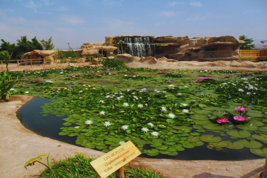 Gita di un giorno ad Agadir da Marrakech