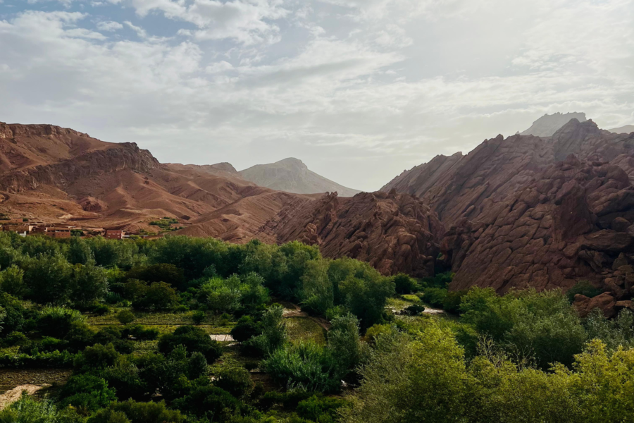 Escursione di un giorno da Ouarzazate e Kasbah Ait Ben Haddou 