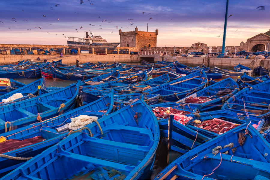 Escursione di un giorno a Essaouira da Marrakech